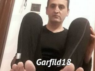 Garfild18