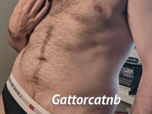 Gattorcatnb