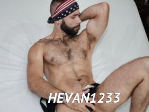 HEVAN1233