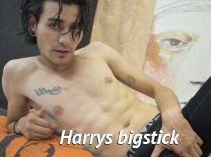 Harrys_bigstick