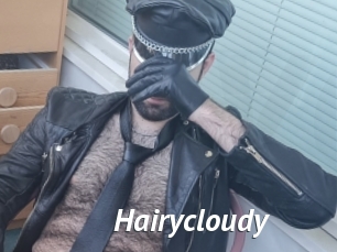 Hairycloudy