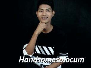 Handsomesolocum