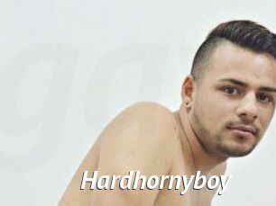 Hardhornyboy