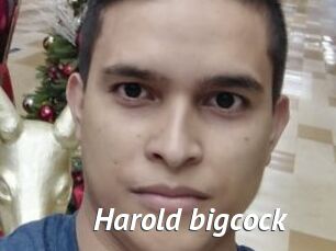 Harold_bigcock