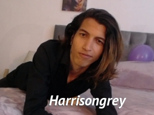 Harrisongrey