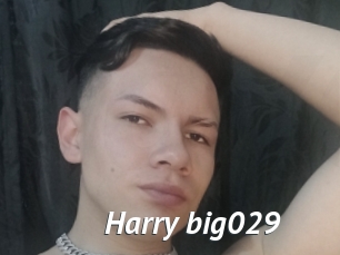 Harry_big029