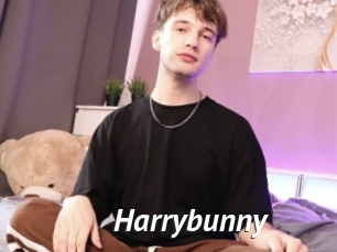 Harrybunny