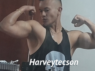 Harveytecson