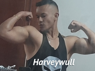 Harveywull