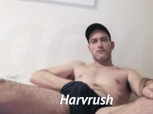 Harvrush