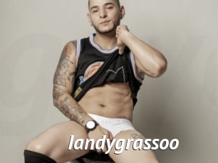 Iandygrassoo