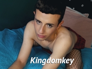 Kingdomkey