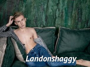 Landonshaggy