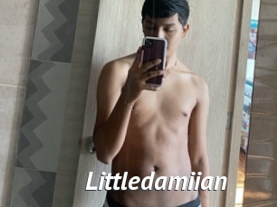 Littledamiian