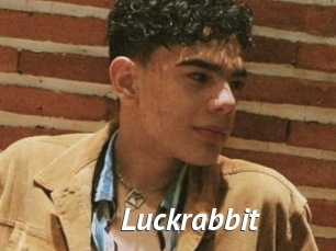 Luckrabbit