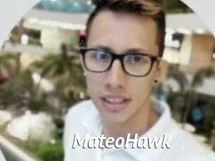 MateoHawk