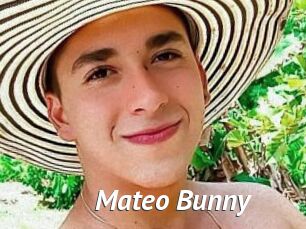 Mateo_Bunny