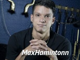 MaxHamintonn