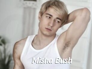 Misha_Bush