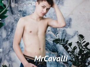 MrCavalli