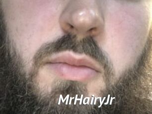 MrHairyJr