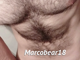 Marcobear18