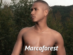 Marcoforest