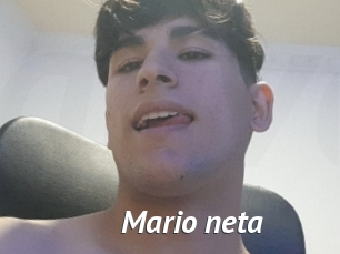 Mario_neta