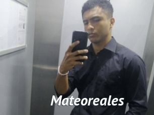 Mateoreales