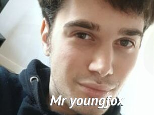 Mr_youngfox