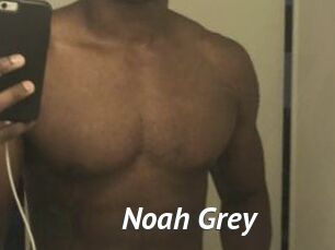 Noah_Grey