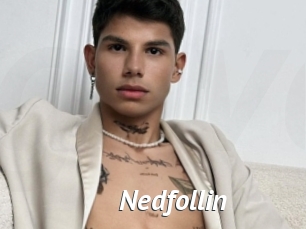 Nedfollin