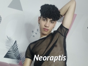 Neoraptis