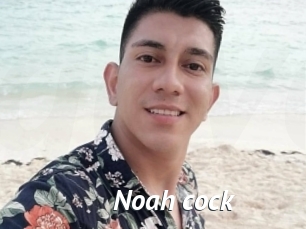 Noah_cock