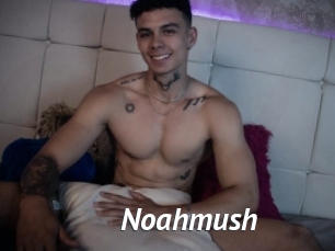 Noahmush