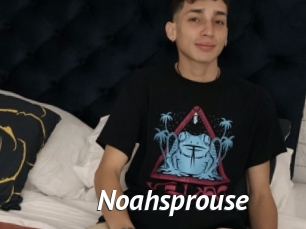 Noahsprouse