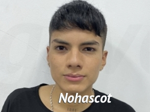 Nohascot