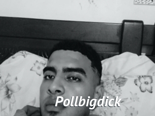 Pollbigdick