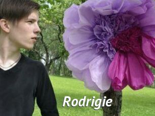 Rodrigie