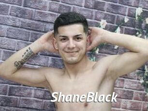 ShaneBlack