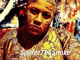 SpiderTheSnake