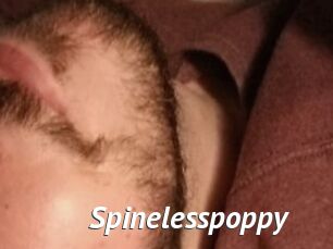 Spinelesspoppy