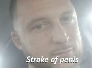 Stroke_of_penis