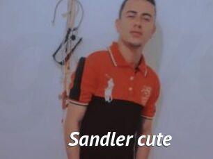 Sandler_cute