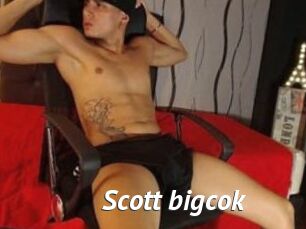 Scott_bigcok