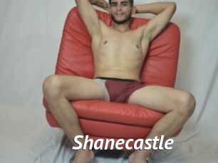 Shanecastle