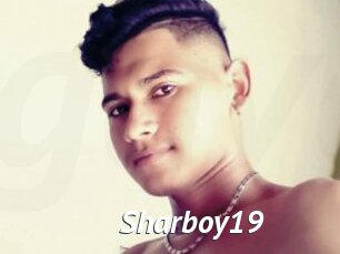 Sharboy19