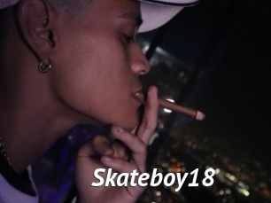 Skateboy18