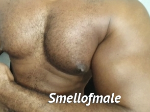 Smellofmale