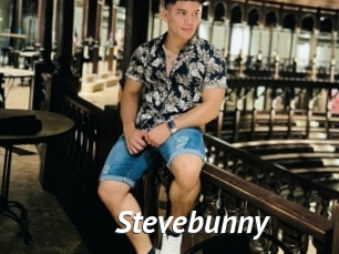 Stevebunny